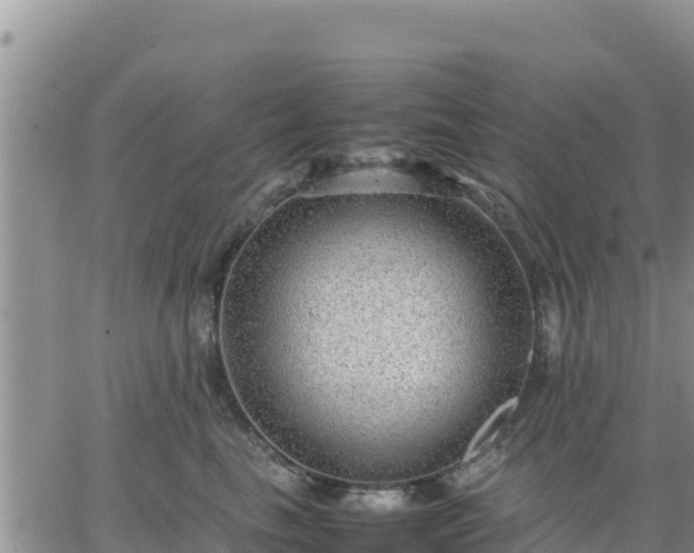 X0000064750665200602171734