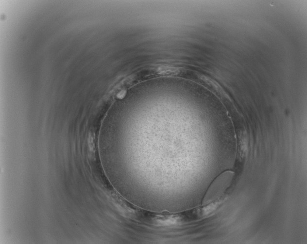 X0000064750667200602171734