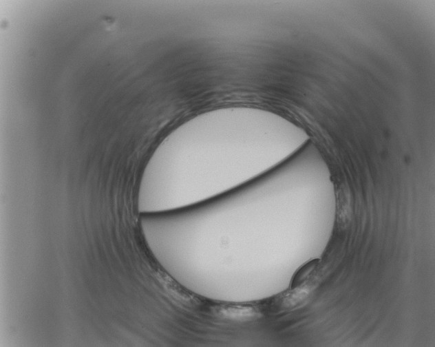 X0000064750669200602171734