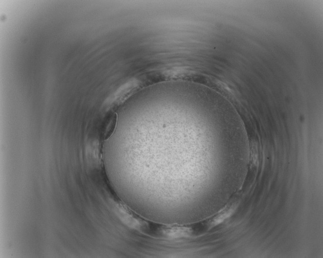 X0000064750670200602171734