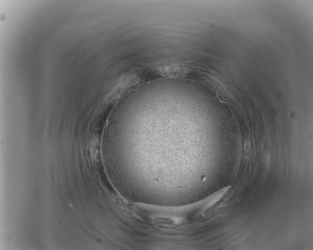 X0000064750671200602171734