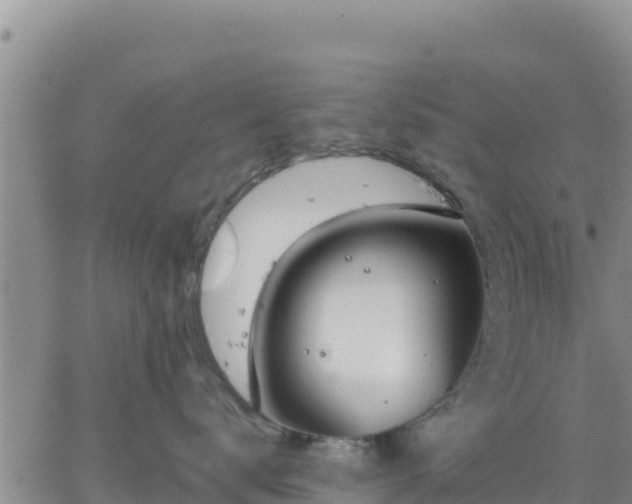 X0000064750672200602171734