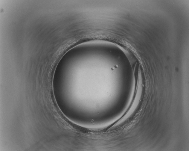 X0000064750673200602171734