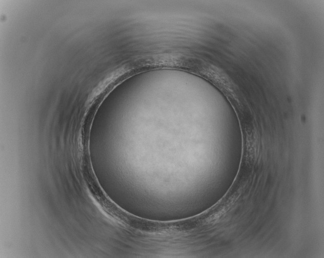 X0000064750674200602171734