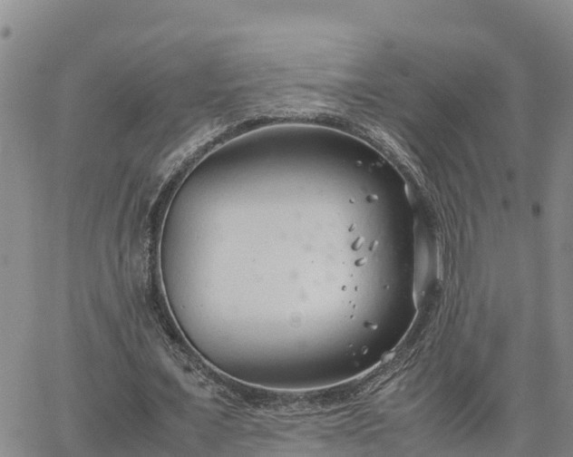 X0000064750675200602171734