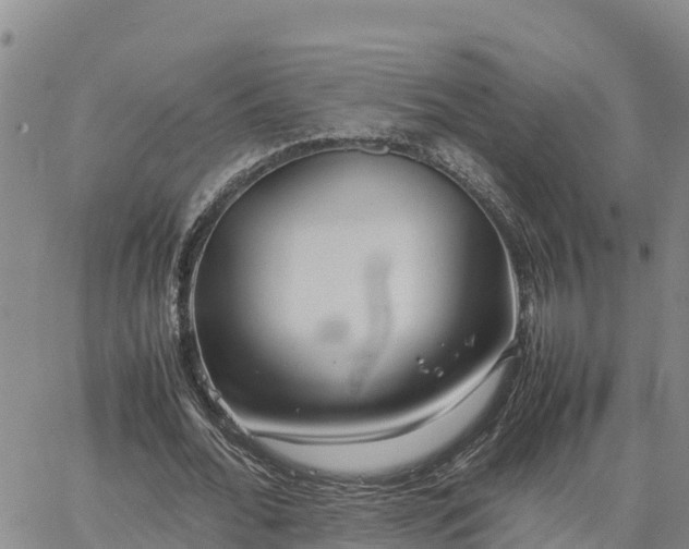 X0000064750676200602171734