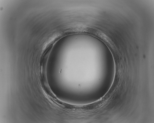 X0000064750677200602171733