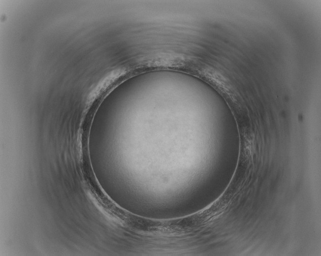 X0000064750678200602171733