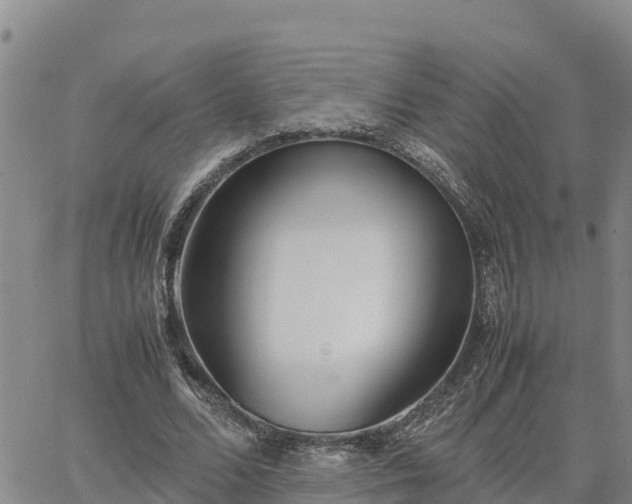 X0000064750680200602171733