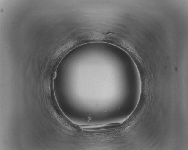 X0000064750681200602171733