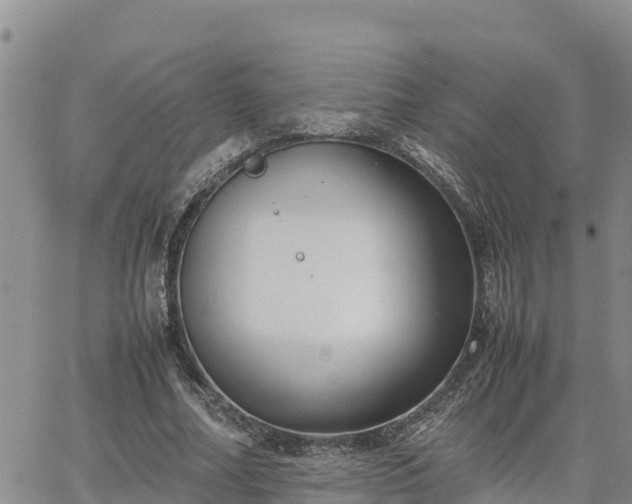 X0000064750682200602171733