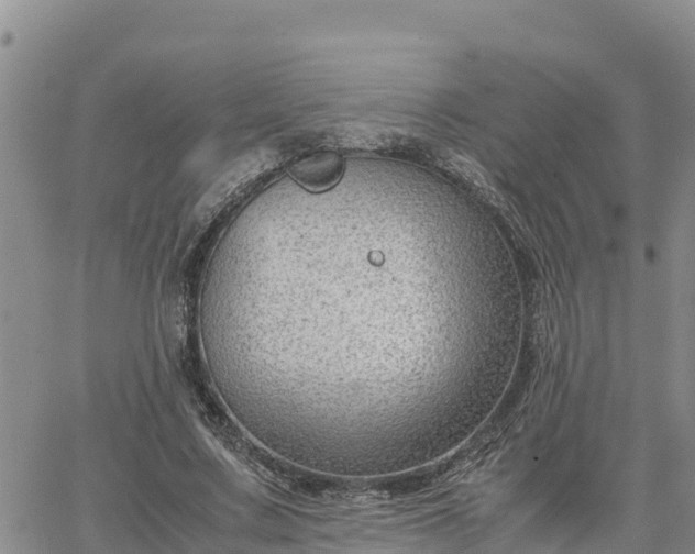 X0000064750683200602171733