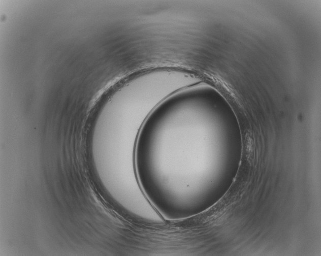 X0000064750684200602171733