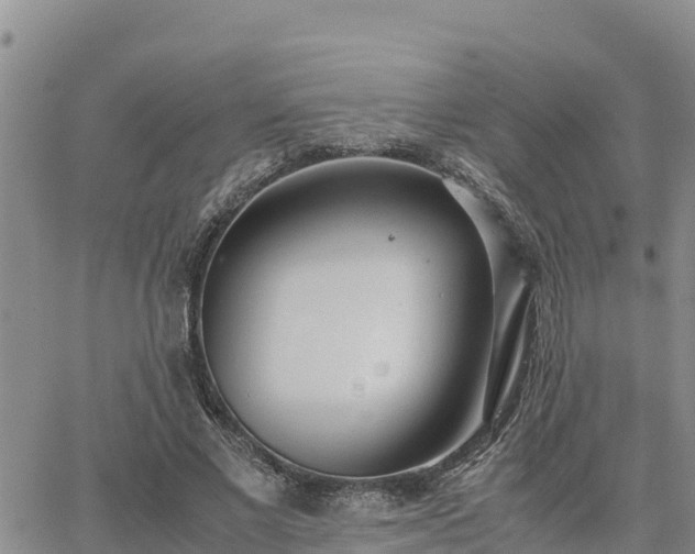 X0000064750685200602171733