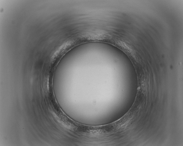 X0000064750686200602171733