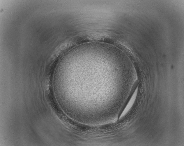 X0000064750687200602171733