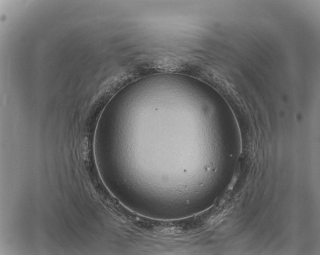 X0000064750689200602171733