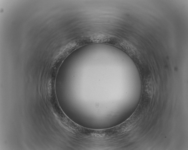 X0000064750690200602171733