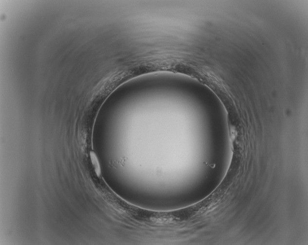 X0000064750693200602171733