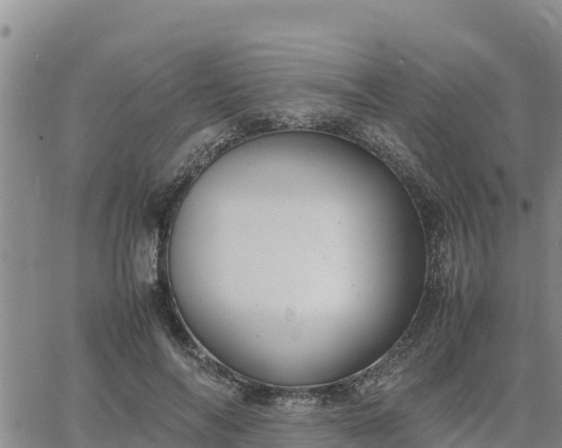 X0000064750694200602171733