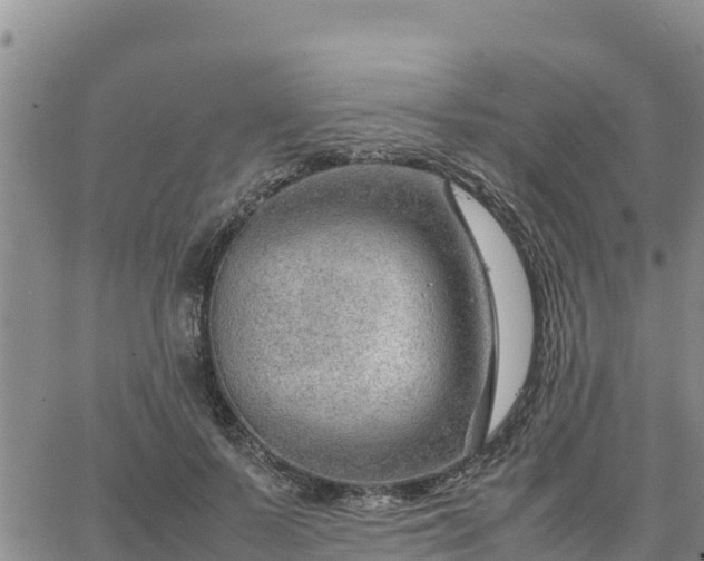 X0000064750695200602171733