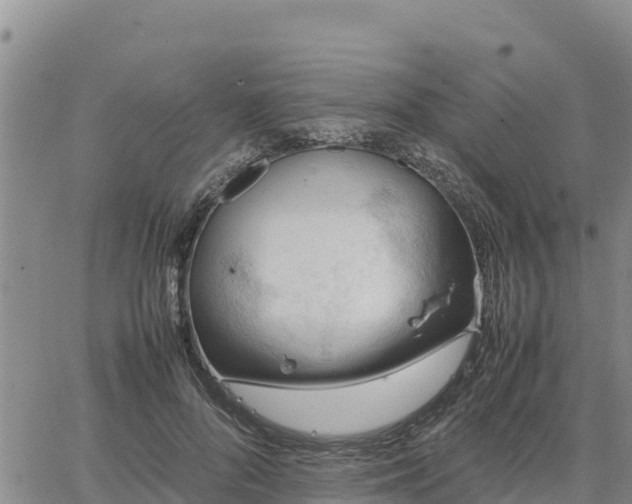 X0000064750696200602171733