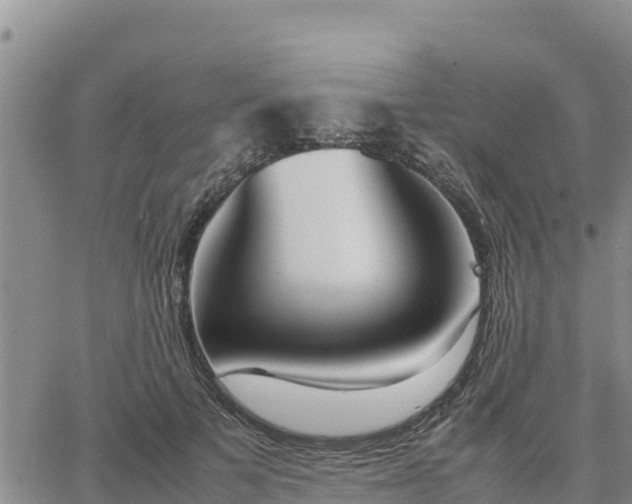 X0000064750697200602171733