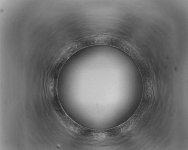 X0000064750698200602171733