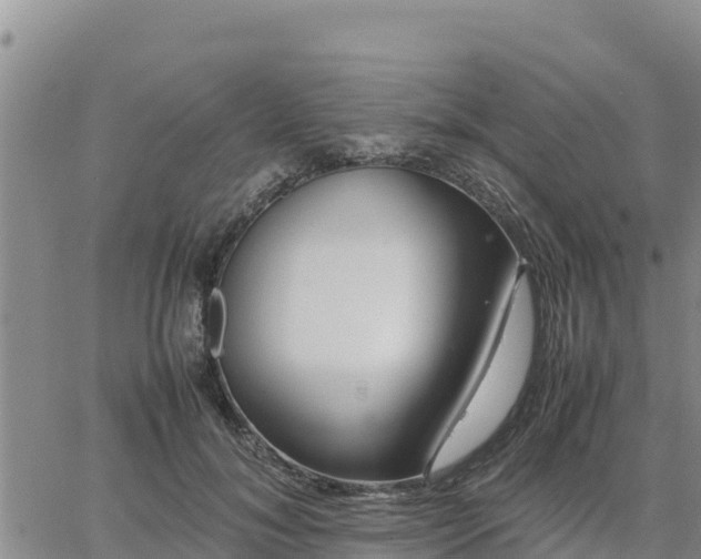 X0000064750700200602171733