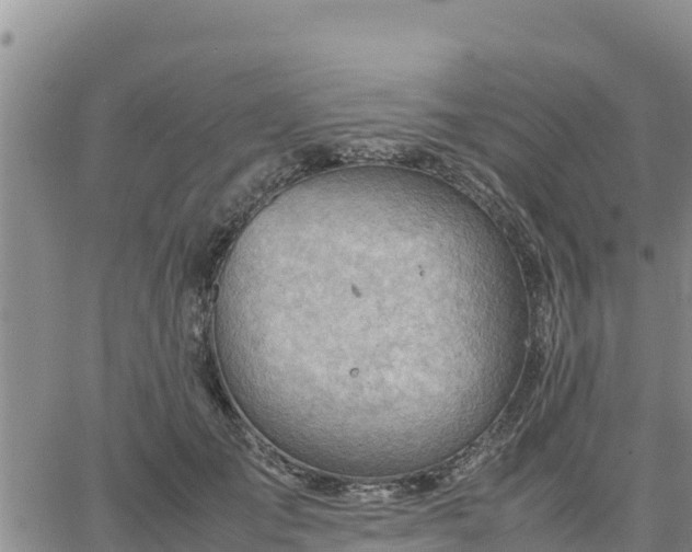 X0000064750701200602171733