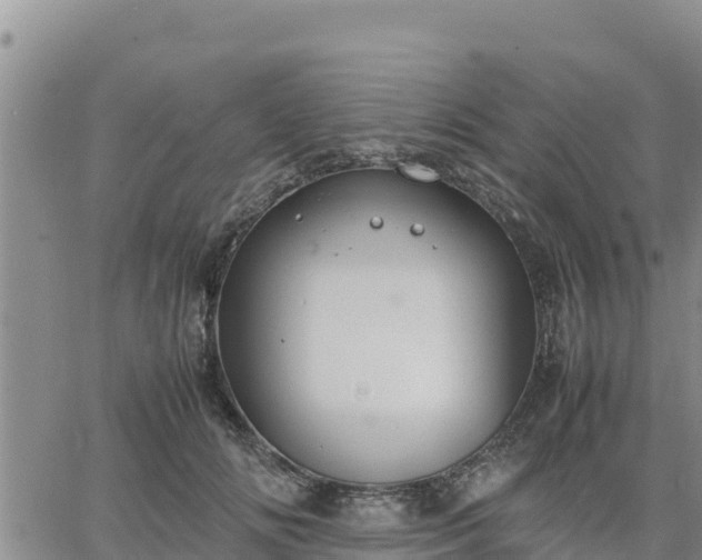 X0000064750702200602171733