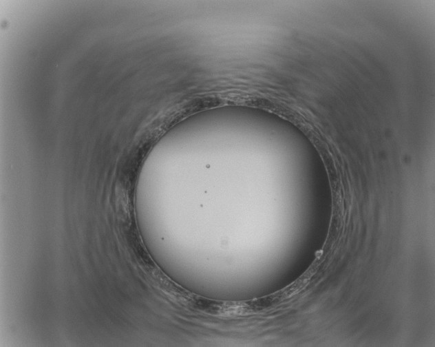 X0000064750705200602171733