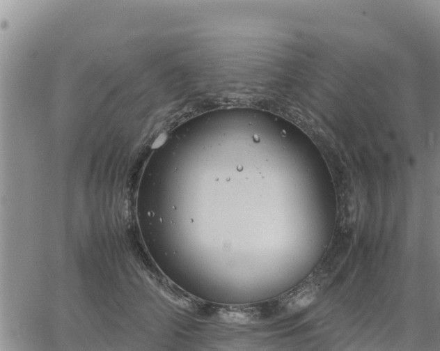 X0000064750706200602171733