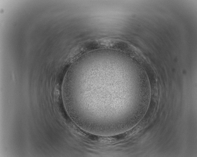 X0000064750707200602171733