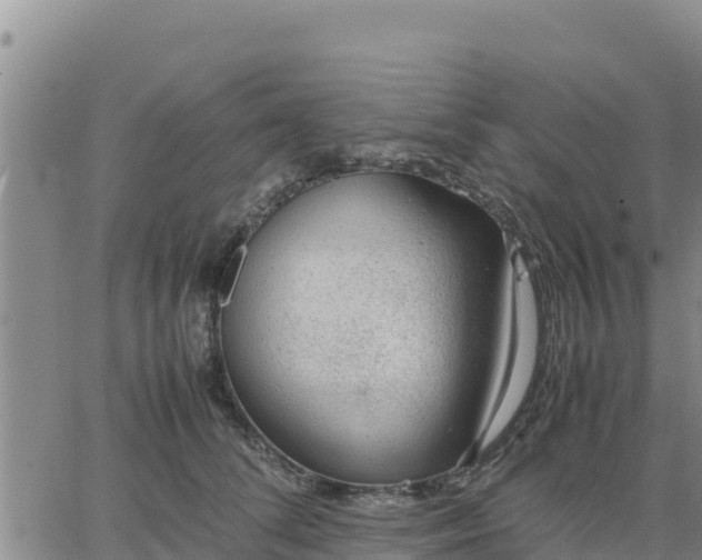 X0000064750708200602171733