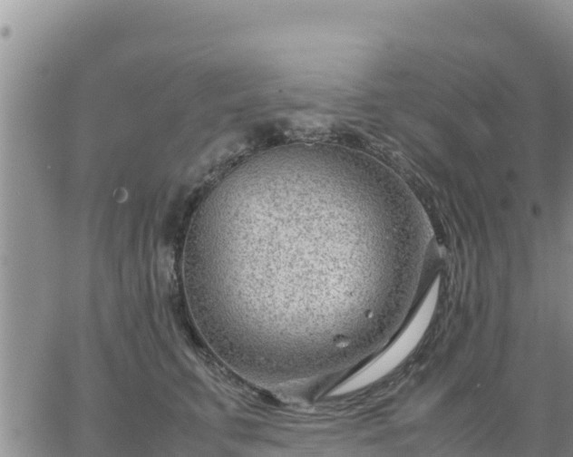 X0000064750711200602171733