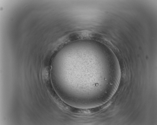 X0000064750715200602171733