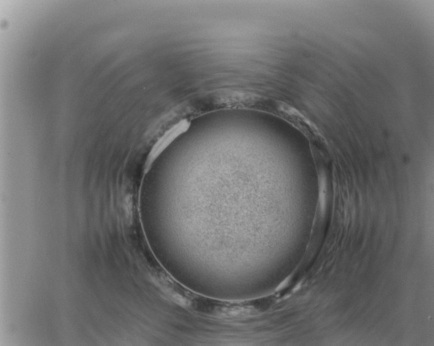 X0000064750716200602171733