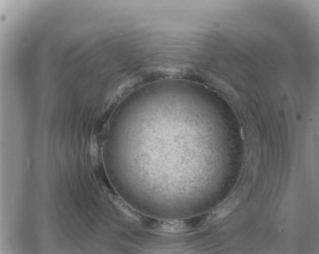 X0000064750720200602171733