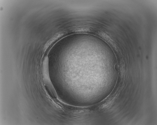 X0000064750721200602171732