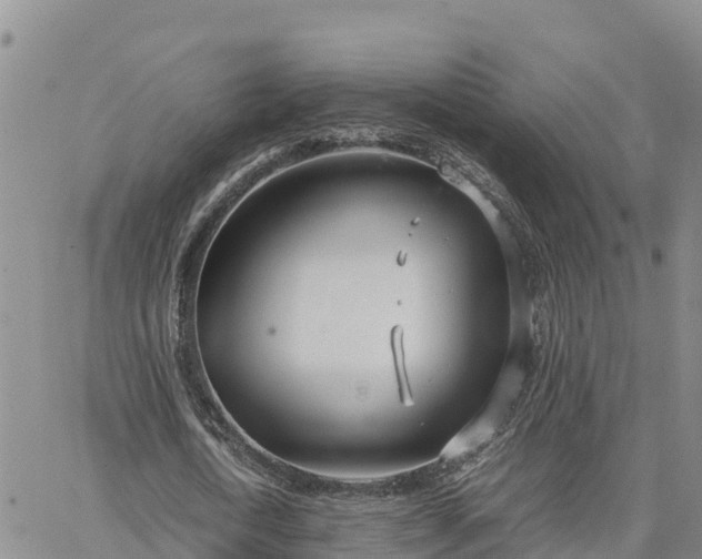 X0000064750722200602171732