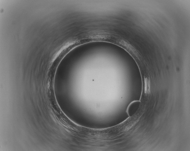 X0000064750723200602171732