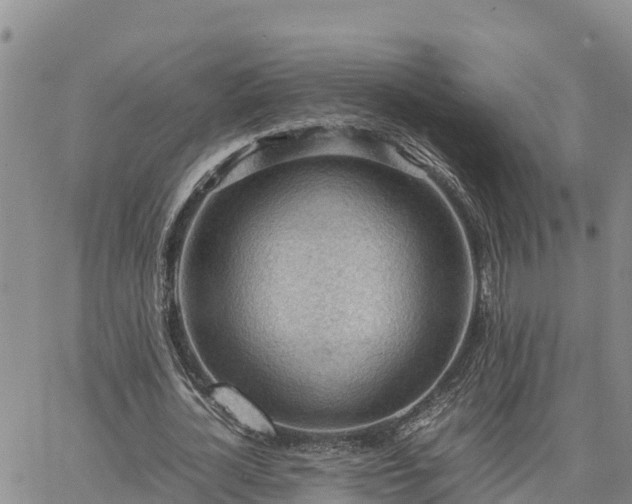 X0000064750724200602171732