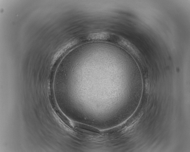 X0000064750725200602171732