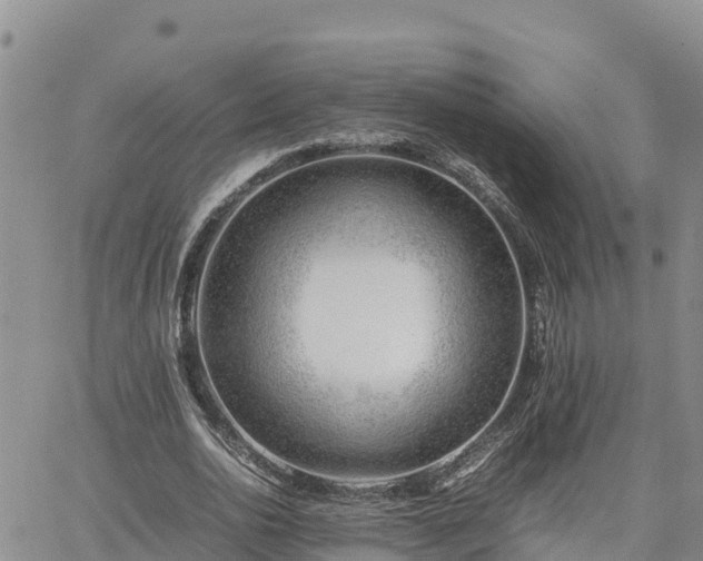 X0000064750726200602171732