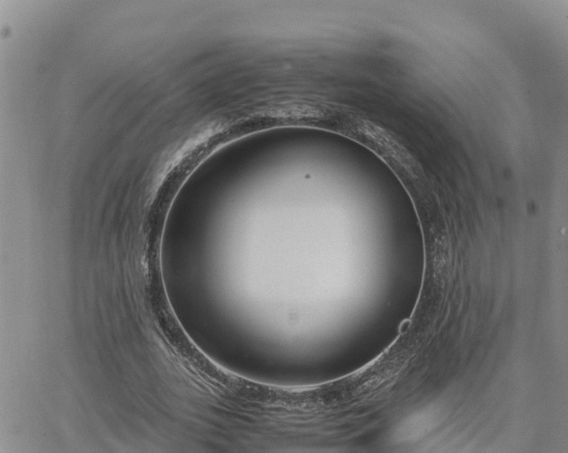 X0000064750727200602171732