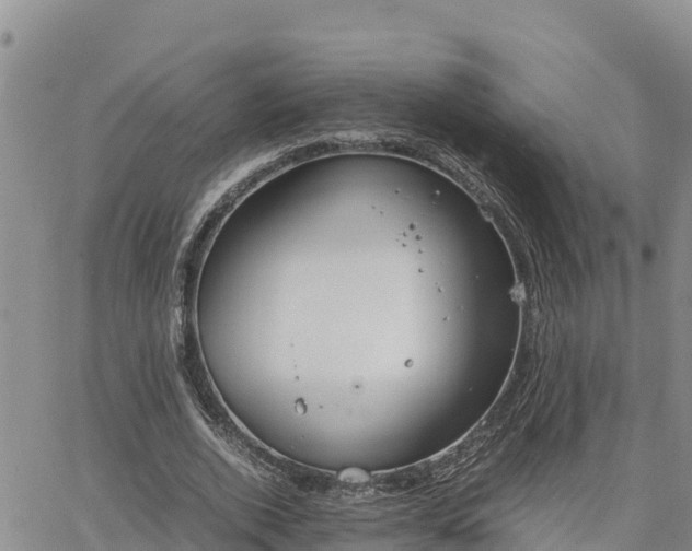 X0000064750728200602171732