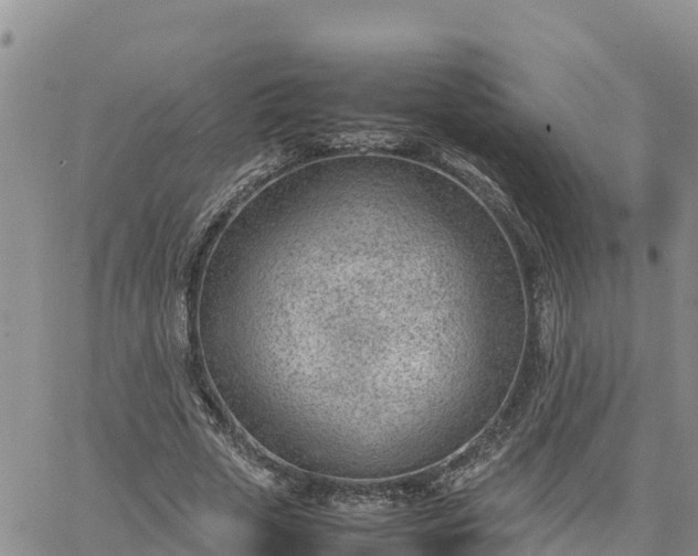 X0000064750729200602171732