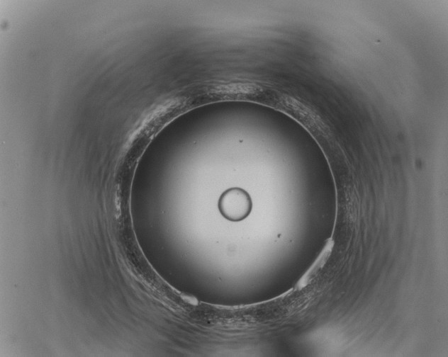 X0000064750731200602171732