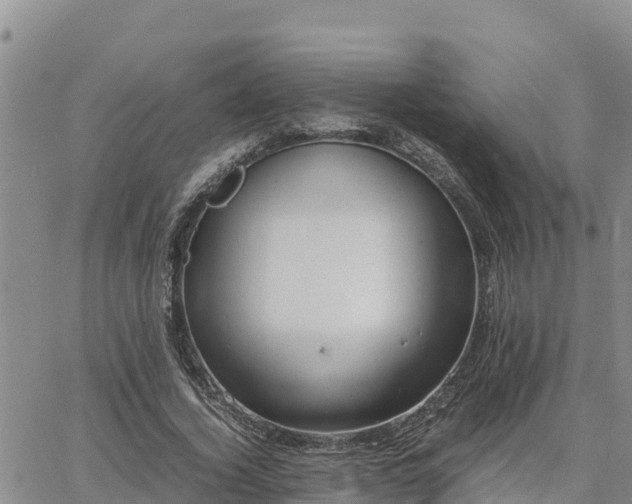 X0000064750732200602171732